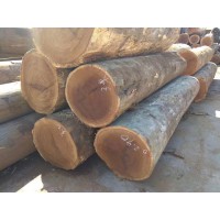 15 年專注，菠蘿格原木、菠蘿格板材多樣，防腐耐用有保障